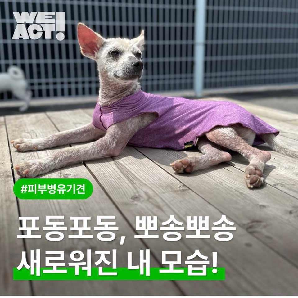 상세 사진 1