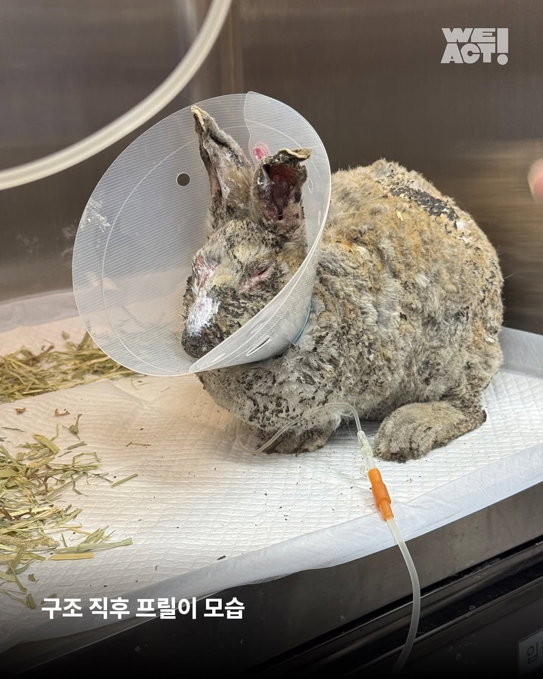 상세 사진 10