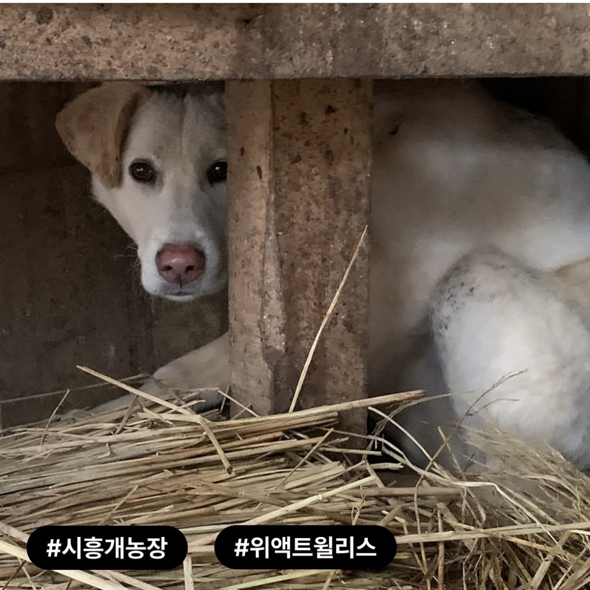 상세 사진 2