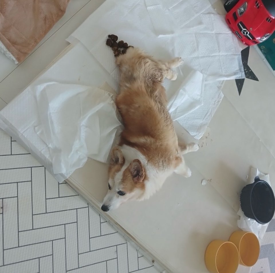 상세 사진 2