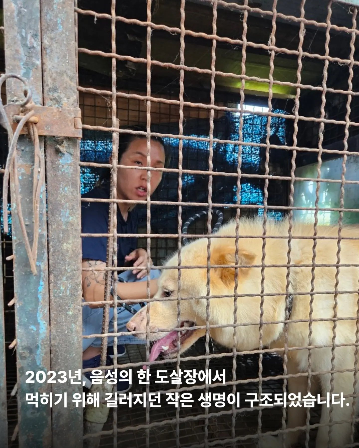 상세 사진 2