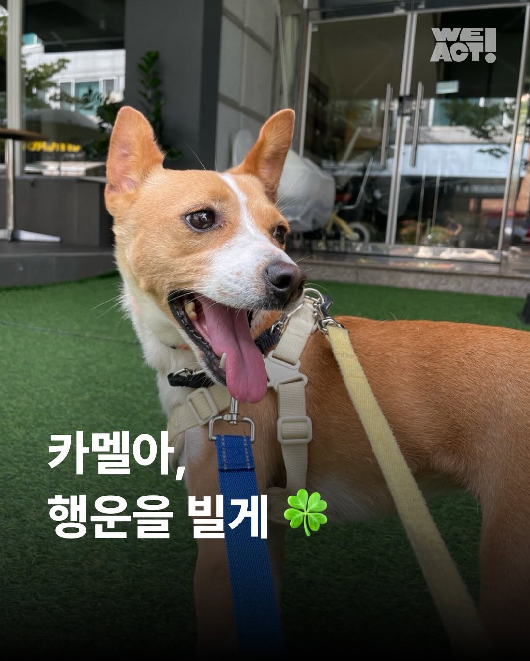 상세 사진 1
