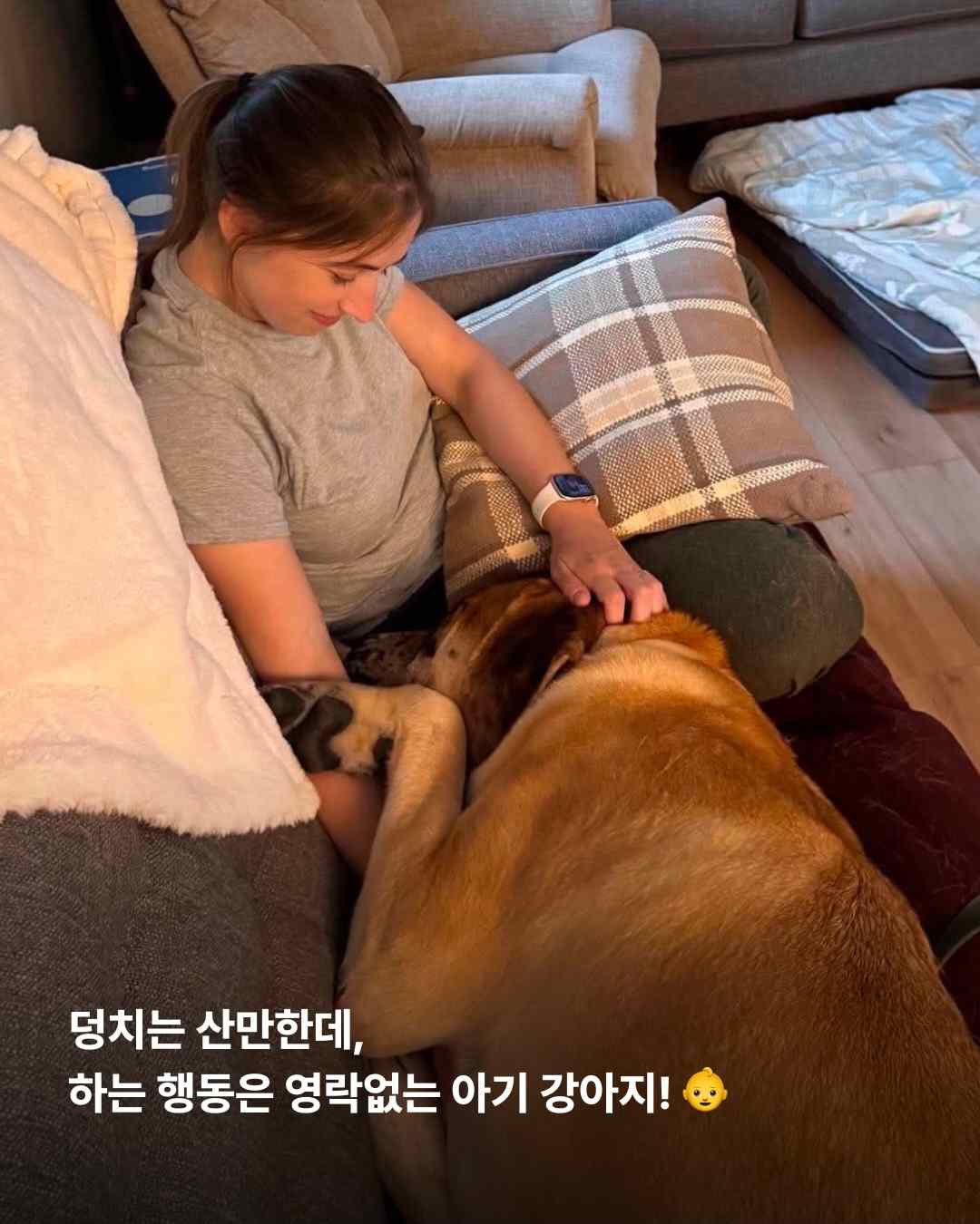상세 사진 6
