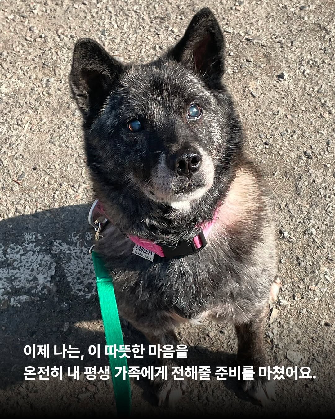 상세 사진 7
