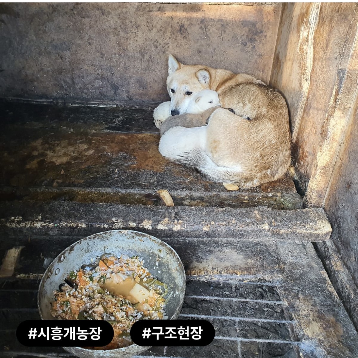 상세 사진 3