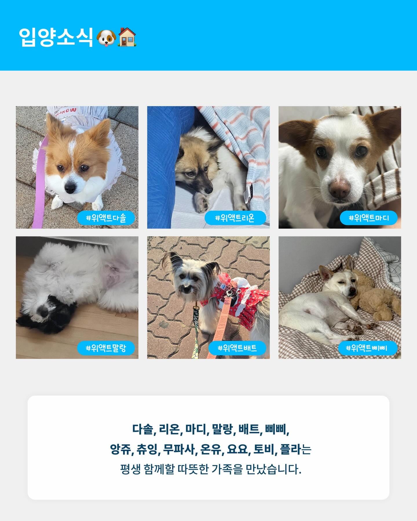상세 사진 2