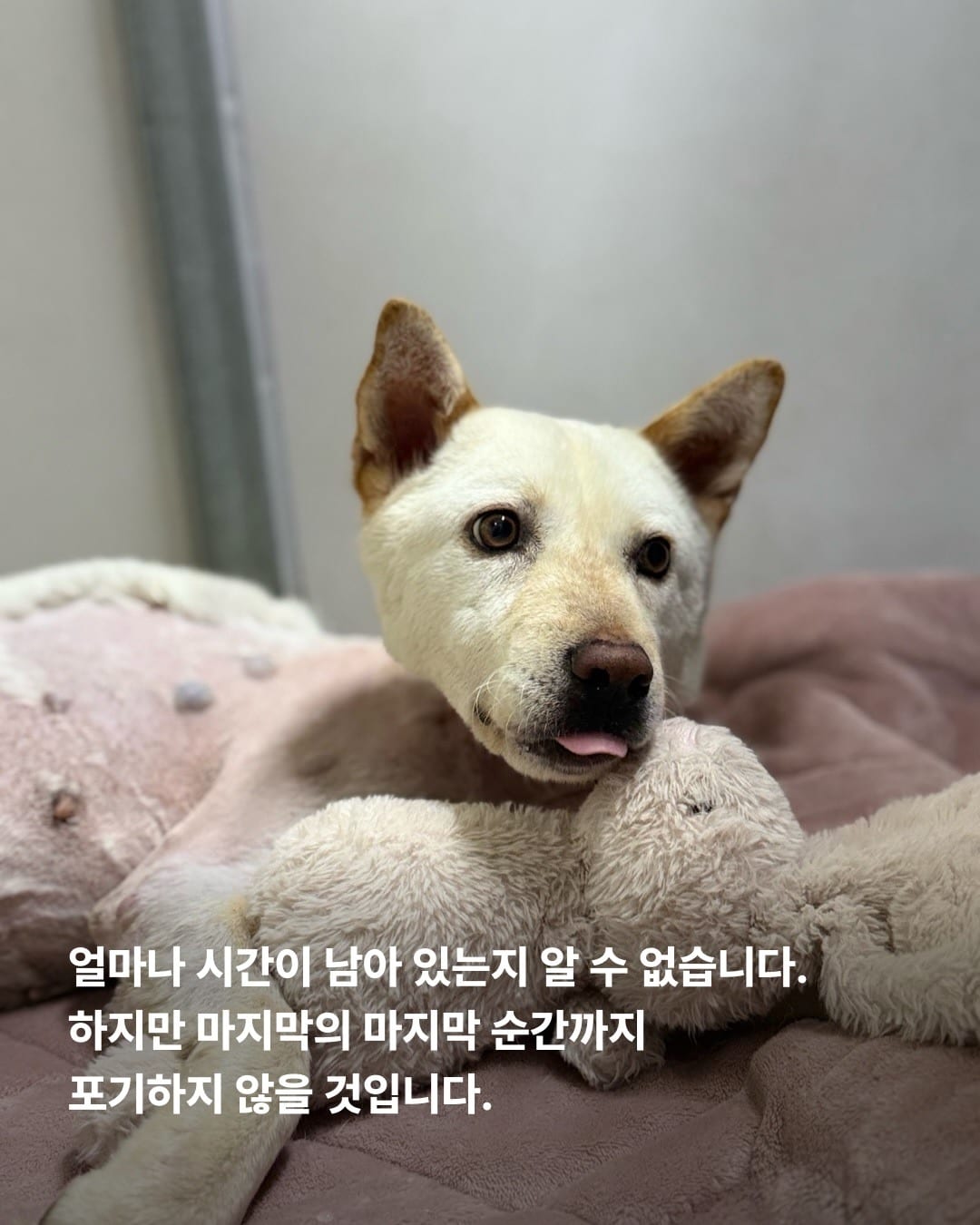 상세 사진 8