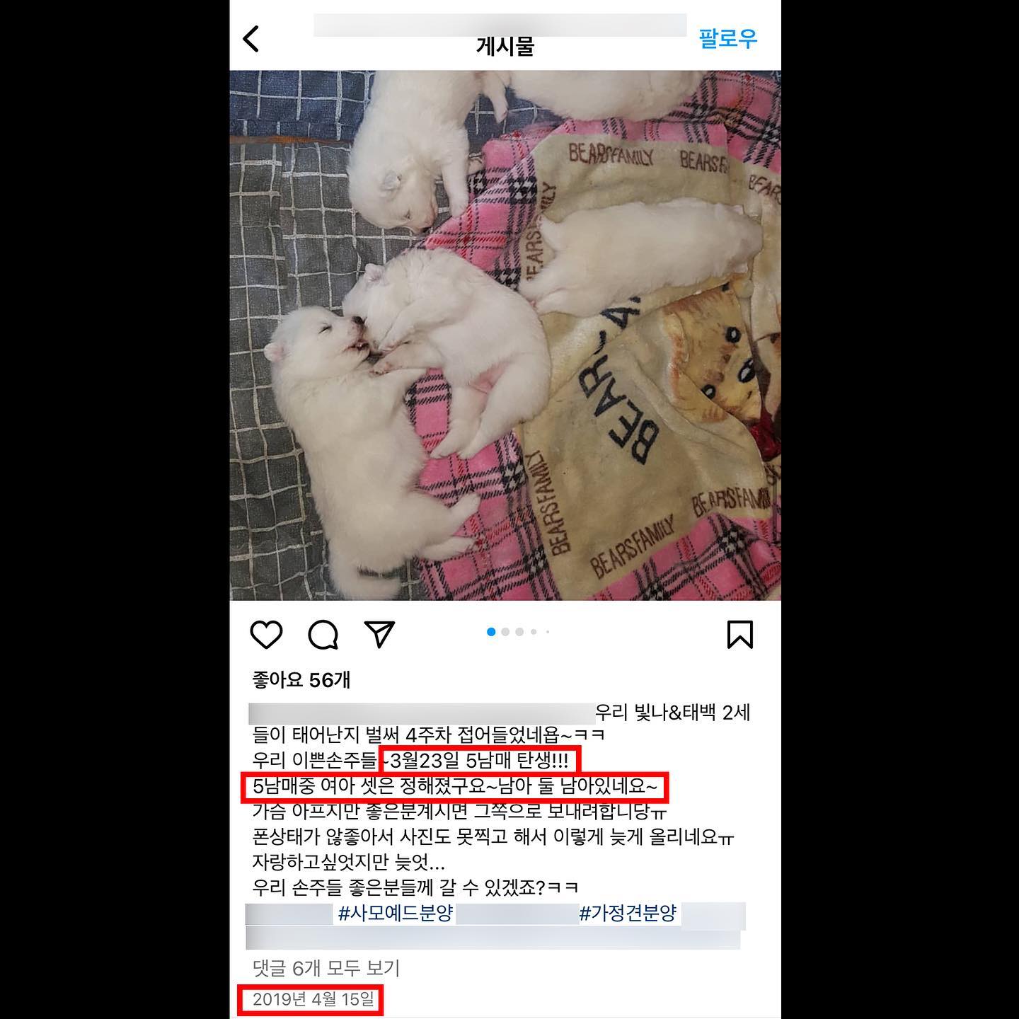 상세 사진 2