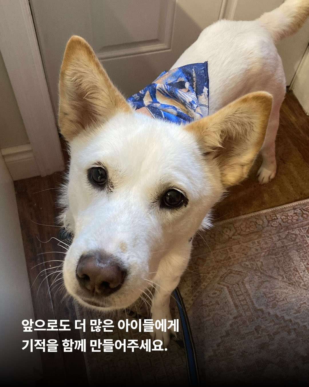상세 사진 10