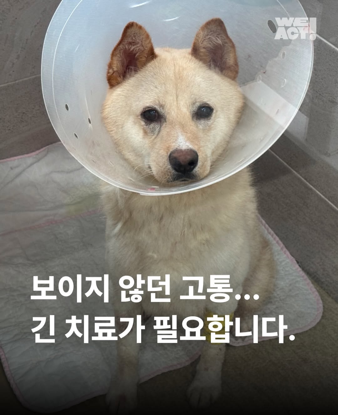 상세 사진 1