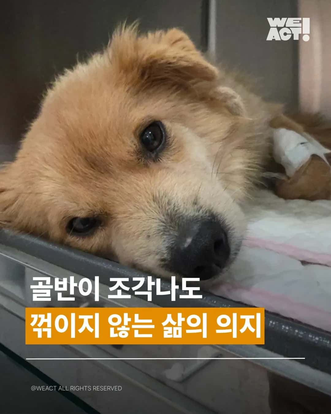 상세 사진 1