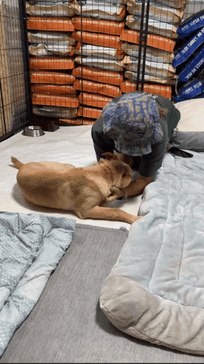 상세 사진 19
