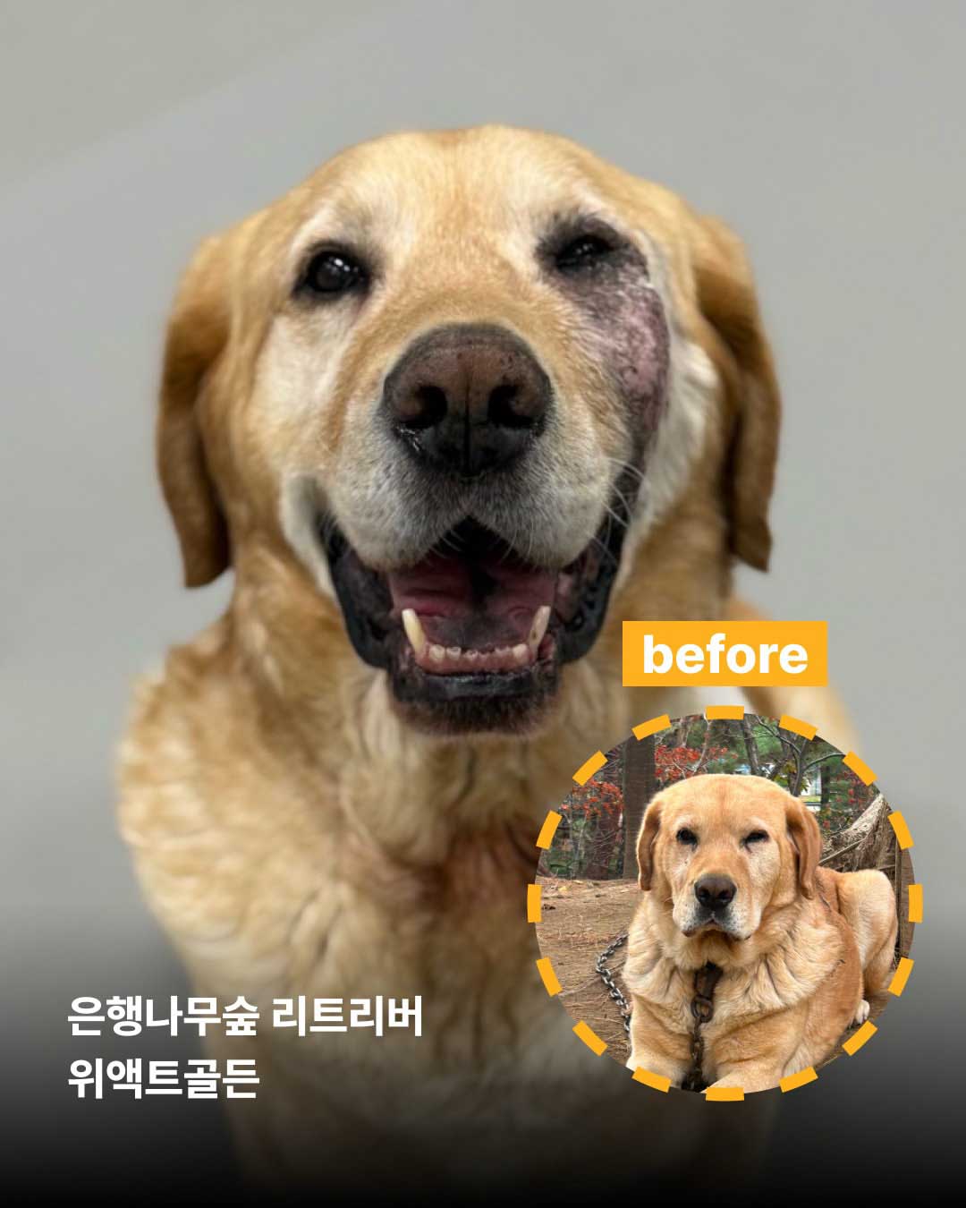 상세 사진 10