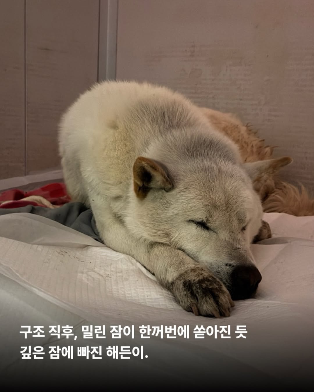상세 사진 9