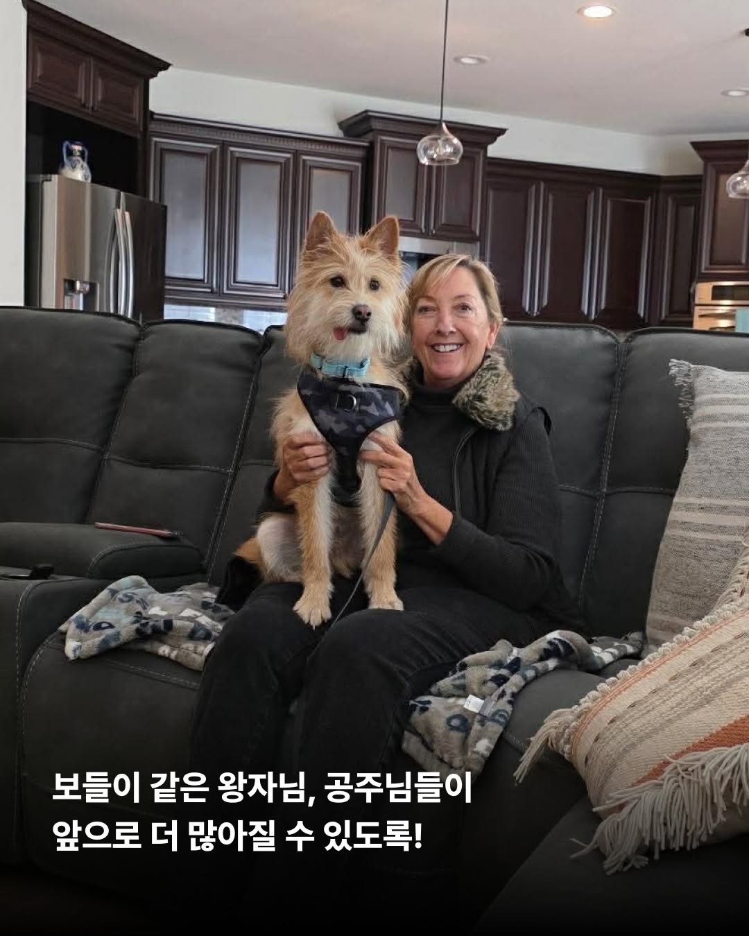 상세 사진 15