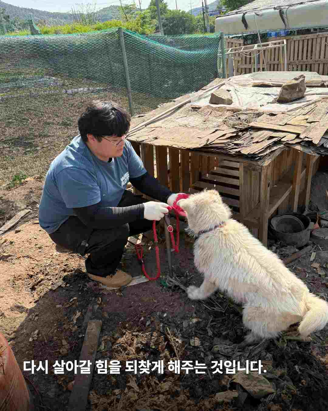 상세 사진 8