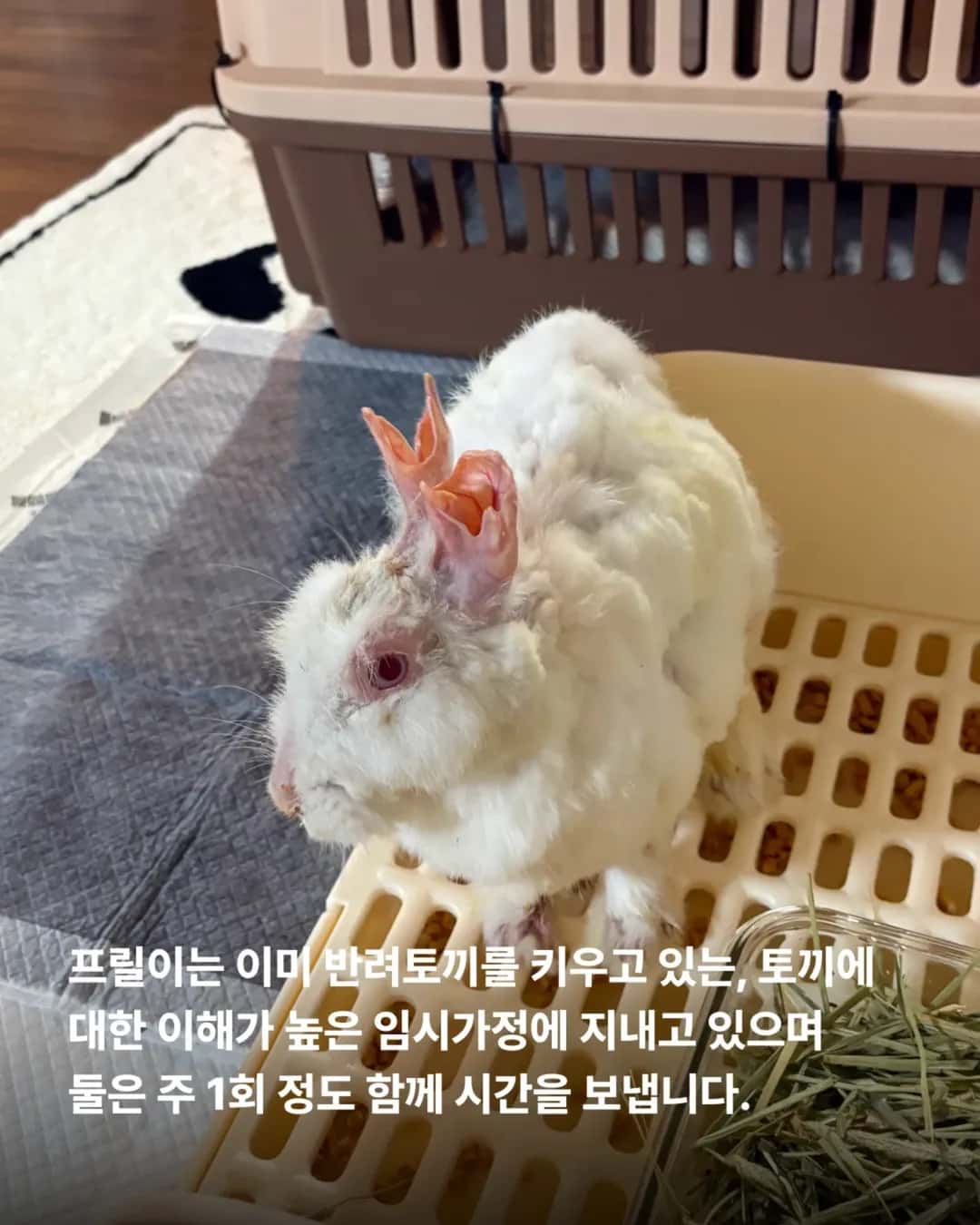 상세 사진 6