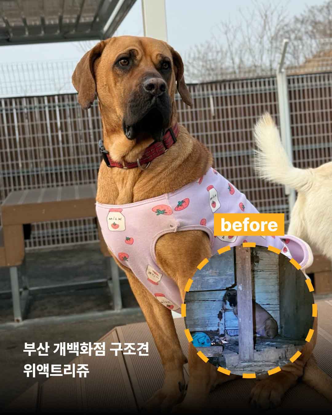 상세 사진 9