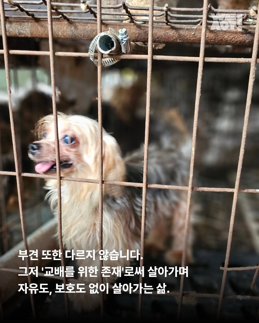 상세 사진 6