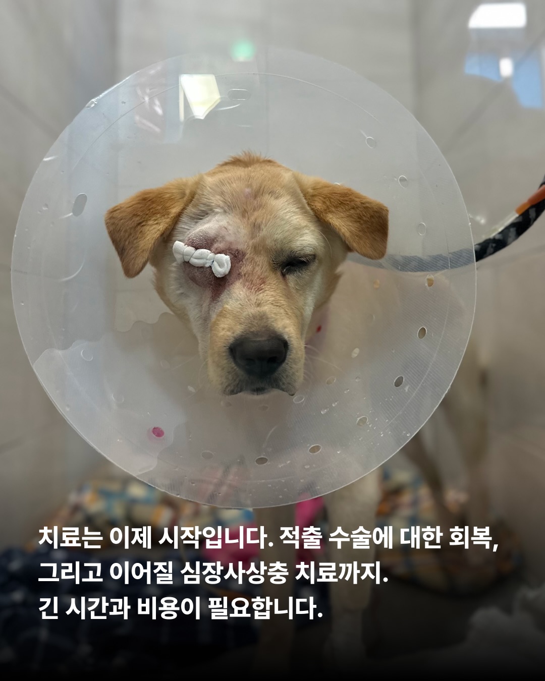 상세 사진 6