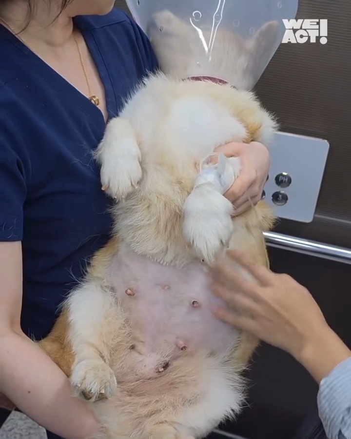상세 사진 7