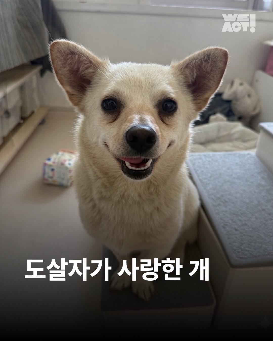 상세 사진 1