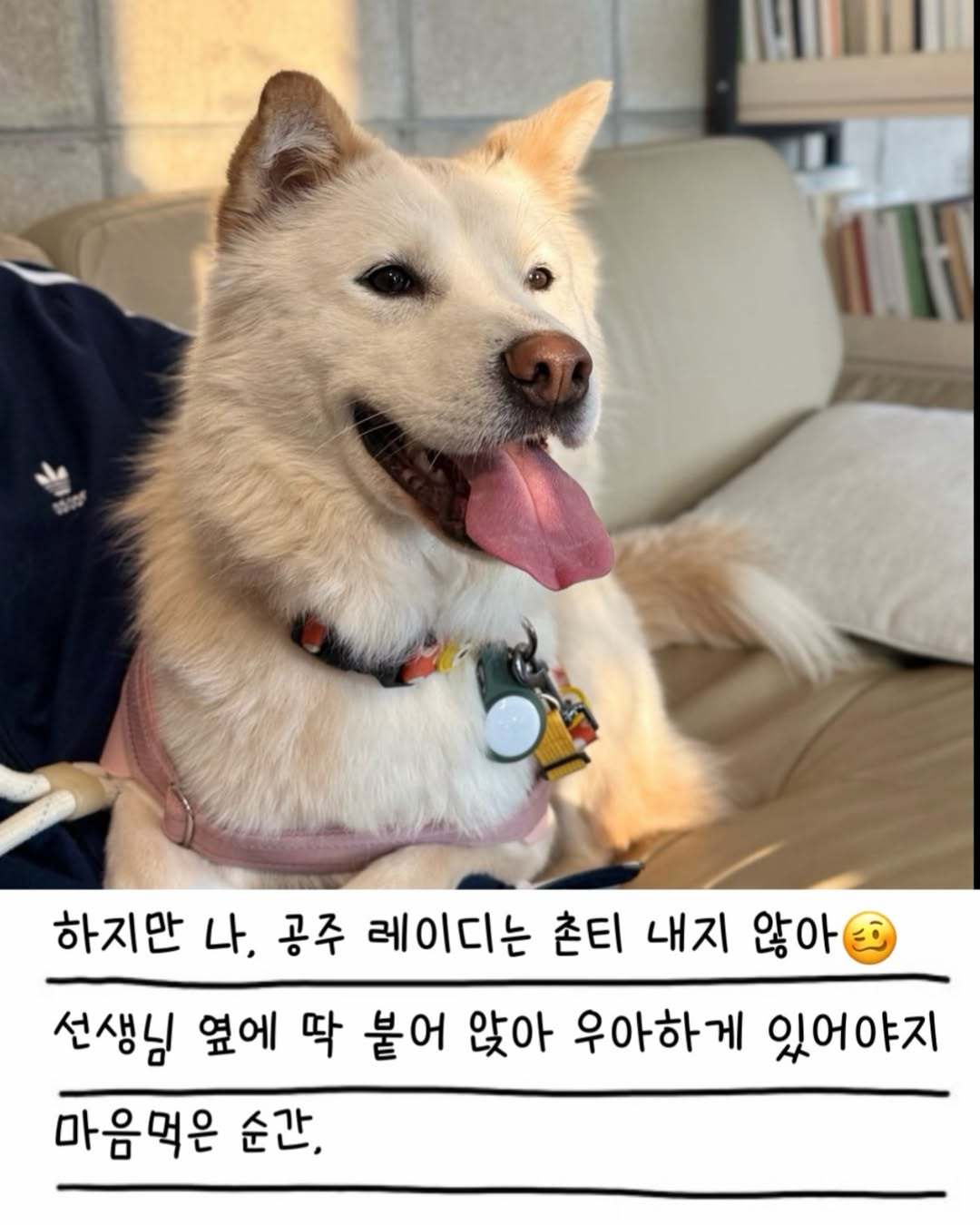 상세 사진 11