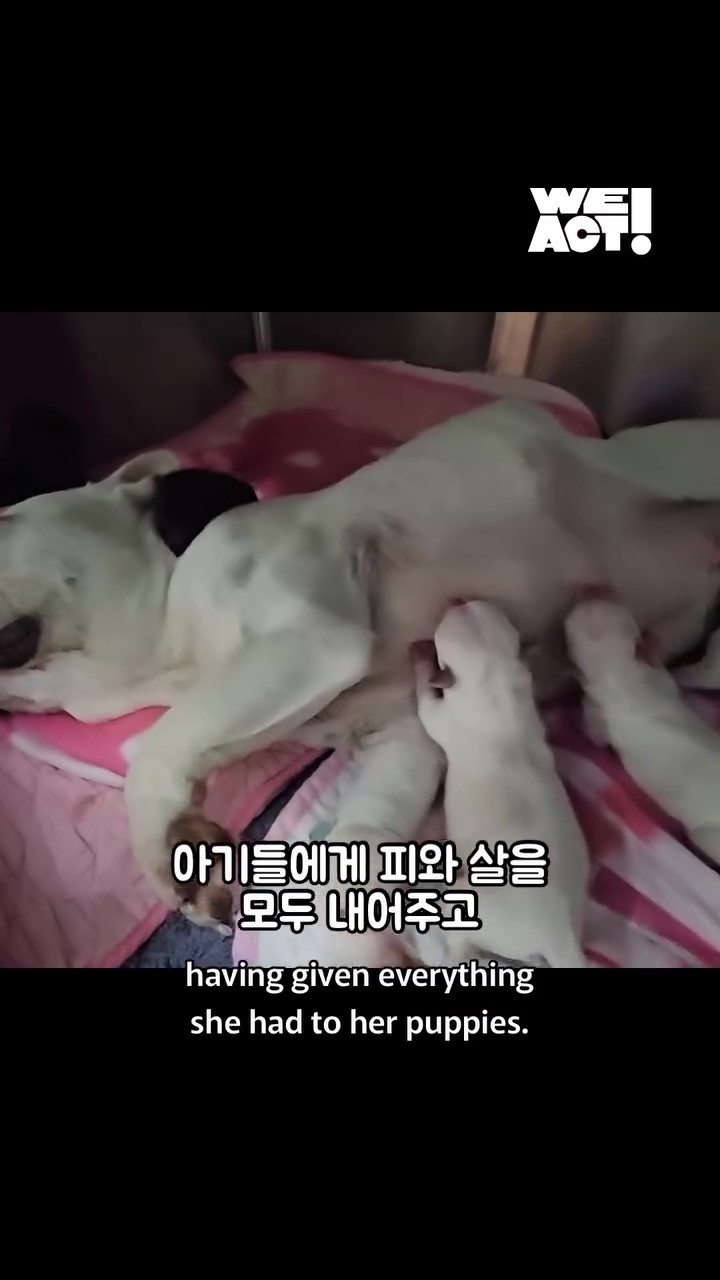 상세 사진 7