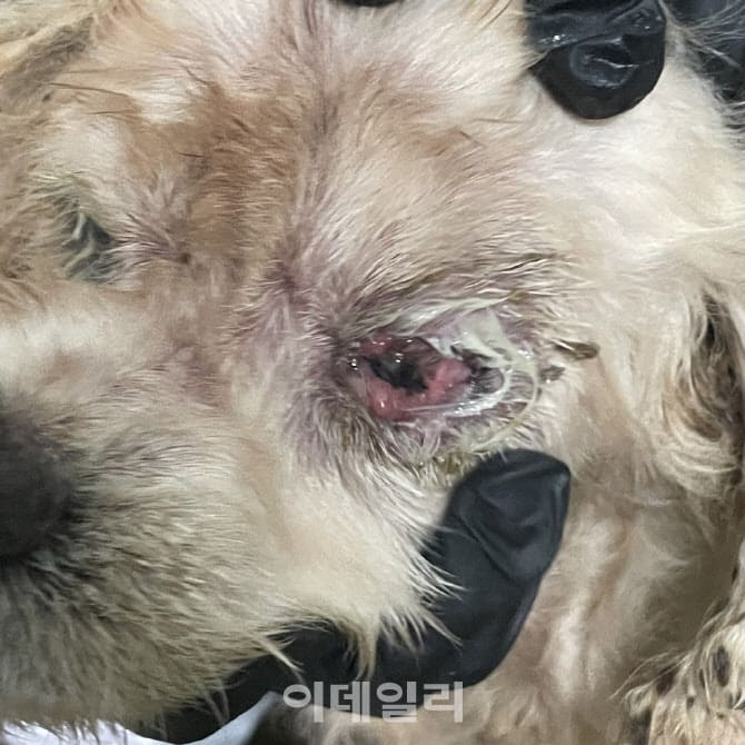 상세 사진 3