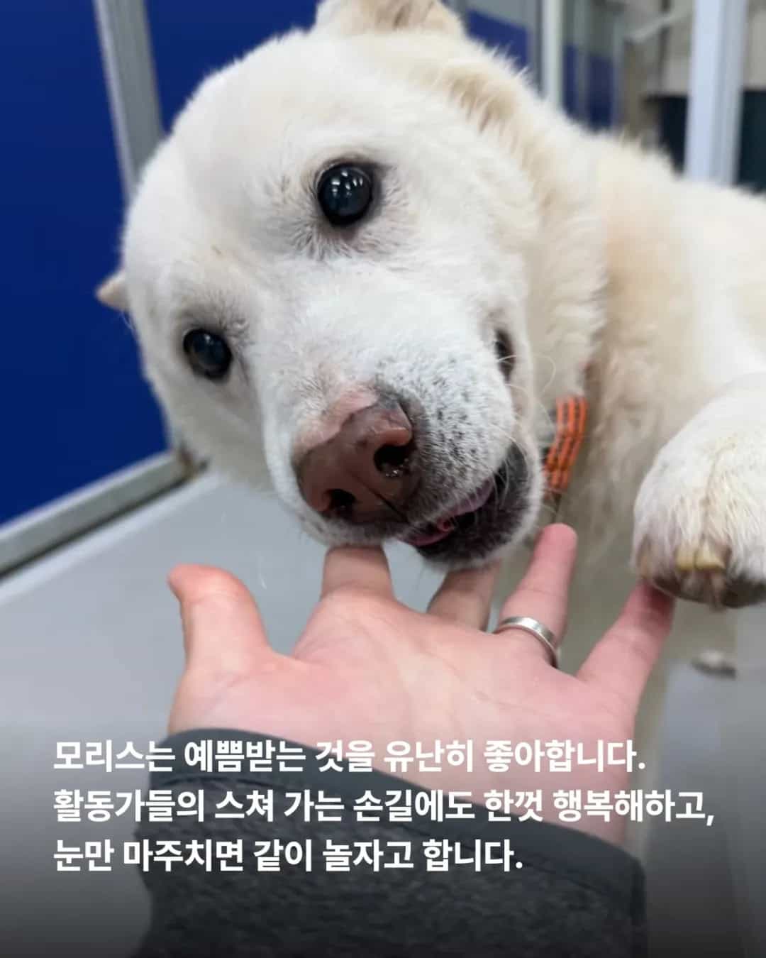상세 사진 9