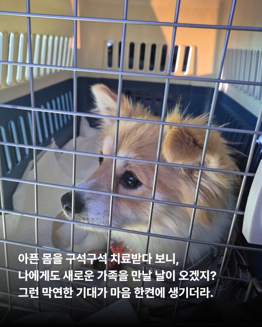 상세 사진 4