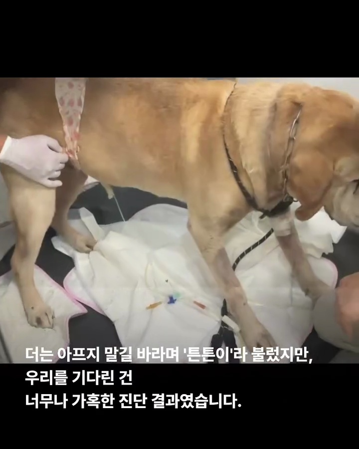 상세 사진 5