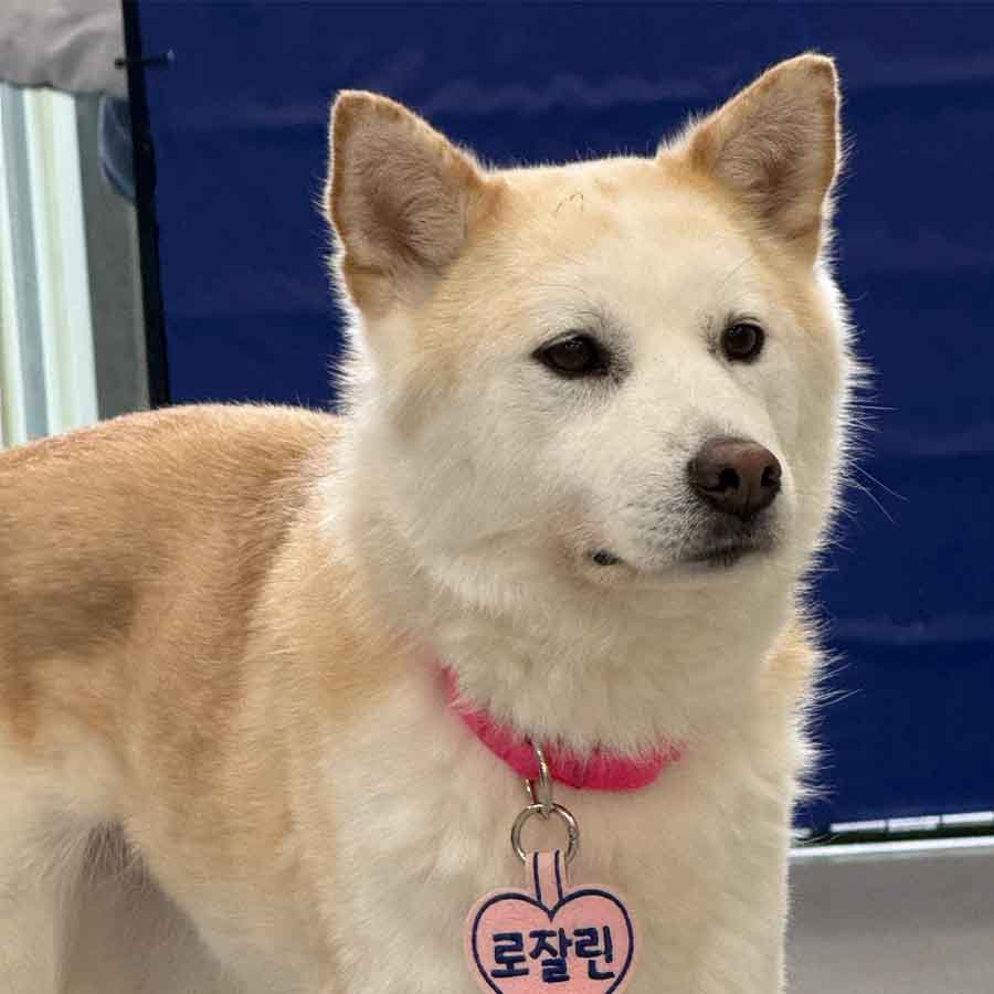 상세 사진 1