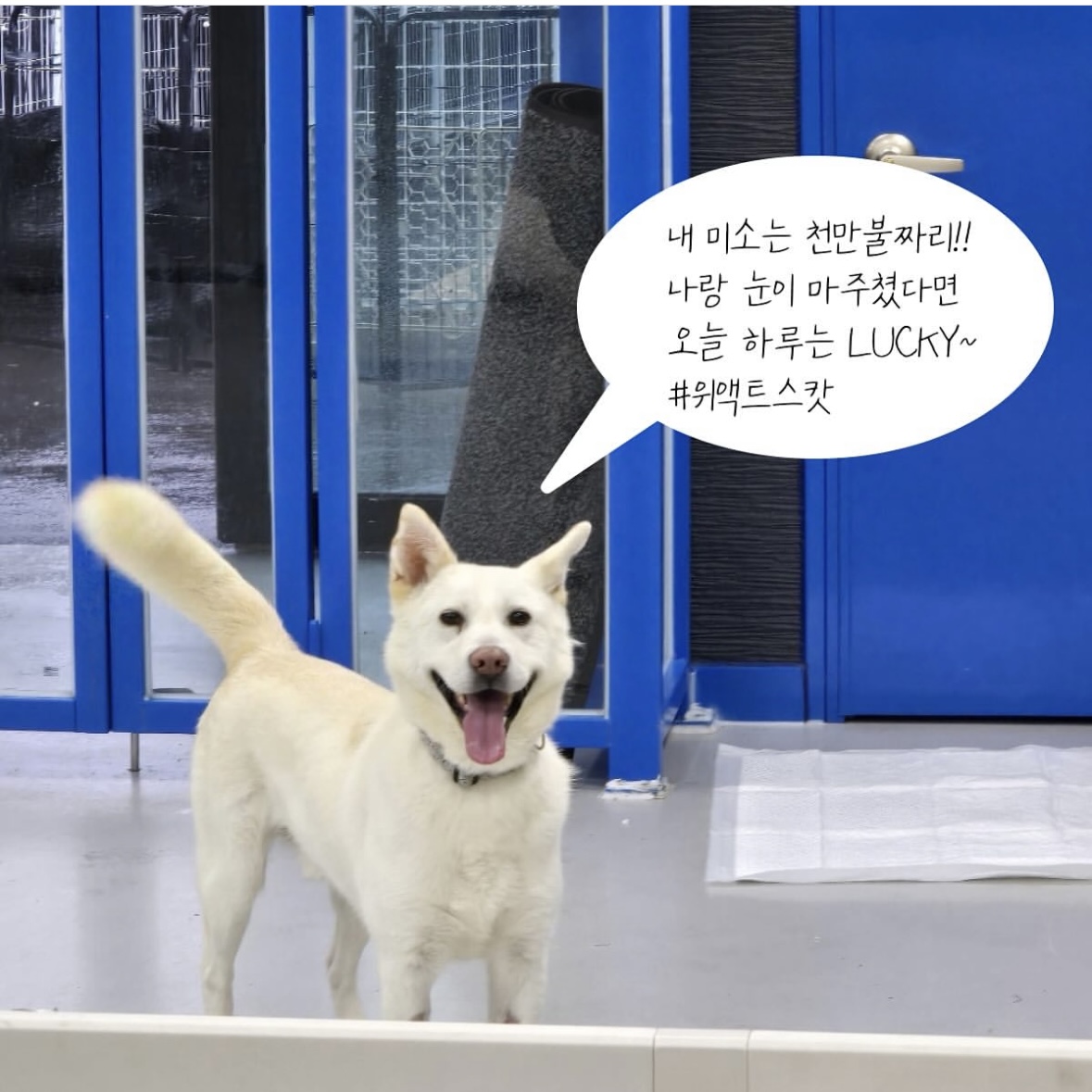 상세 사진 6