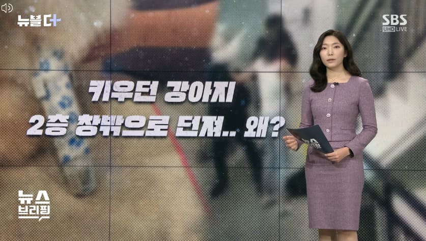 상세 사진 1