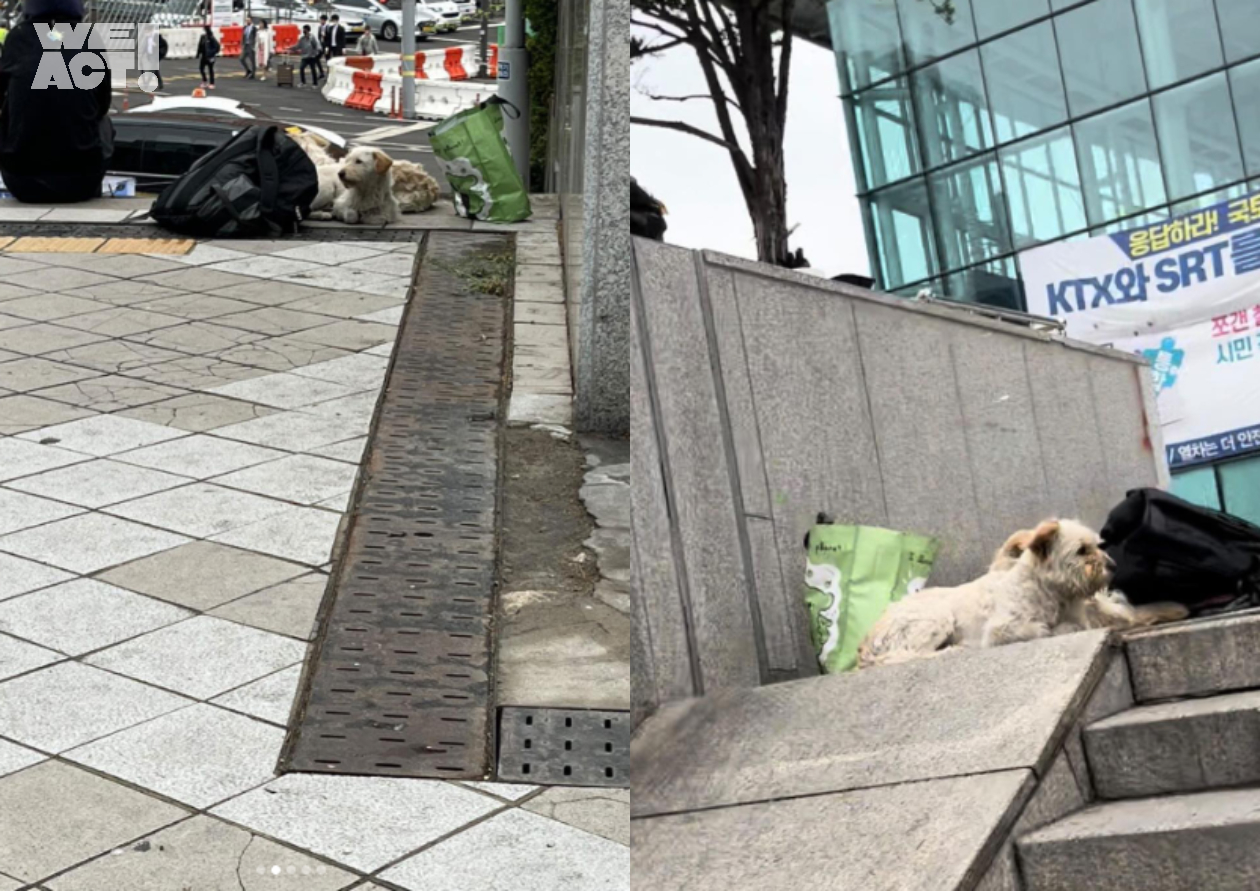 상세 사진 1
