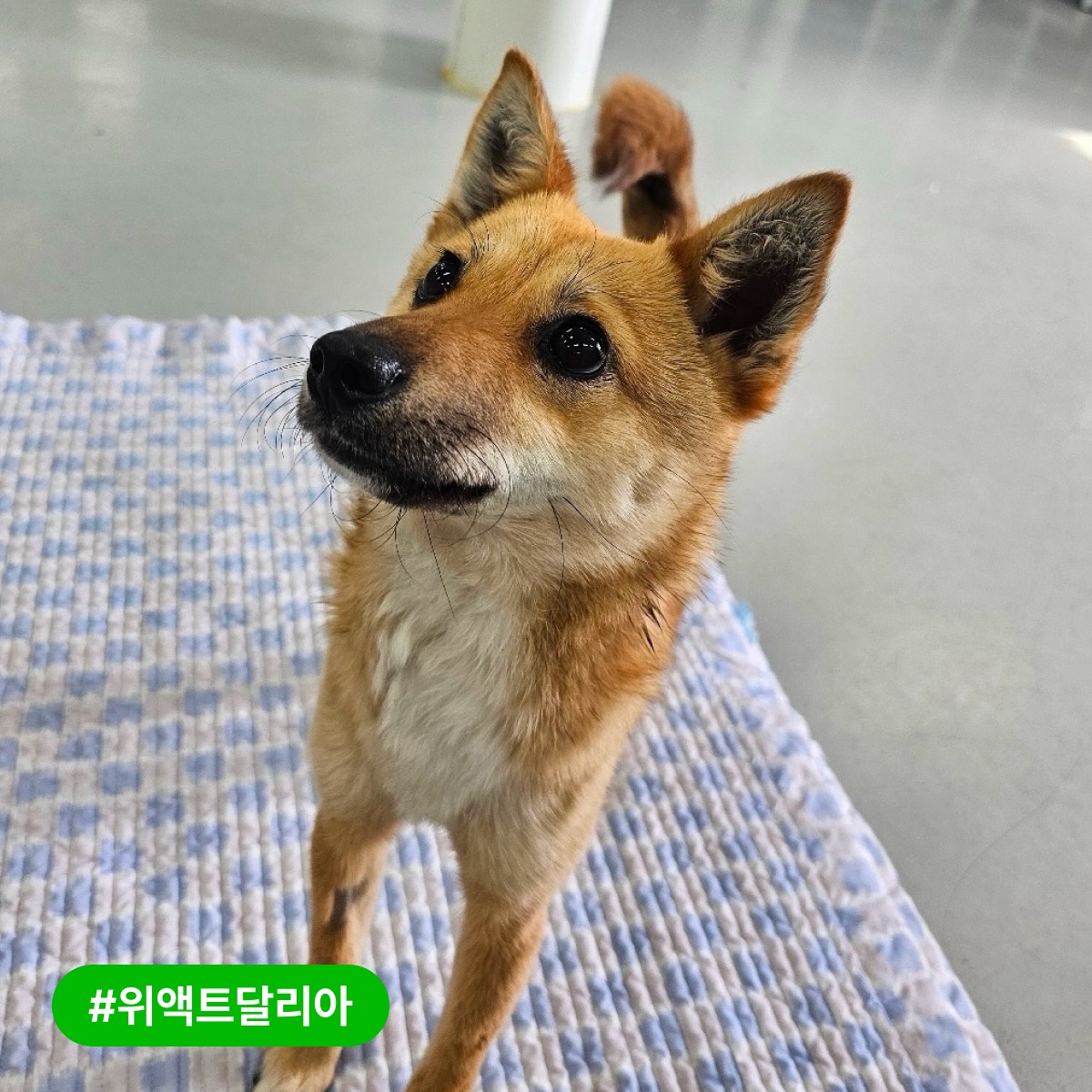 상세 사진 4