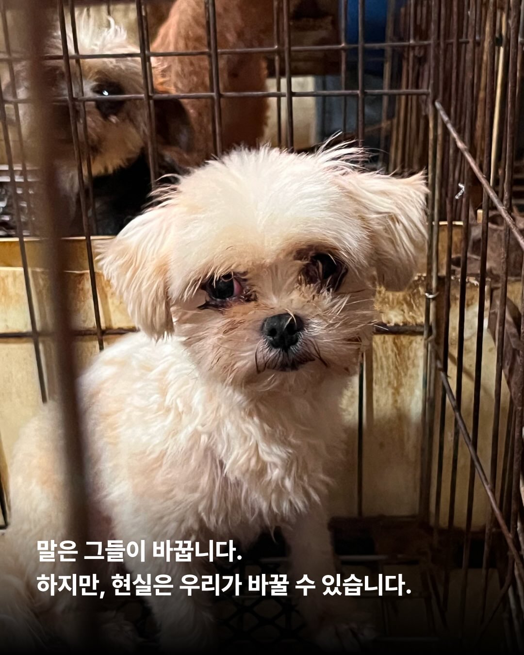 상세 사진 10