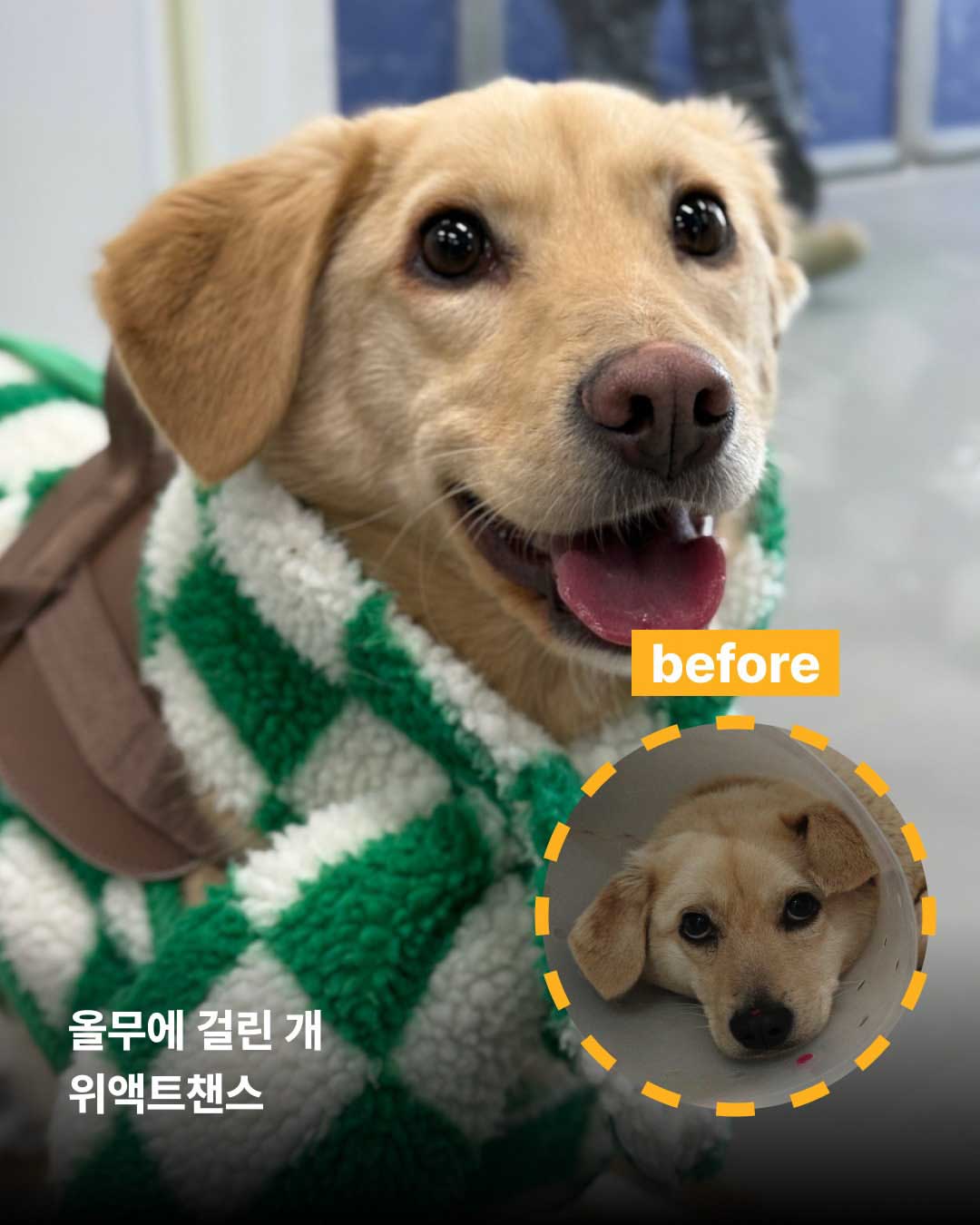상세 사진 8