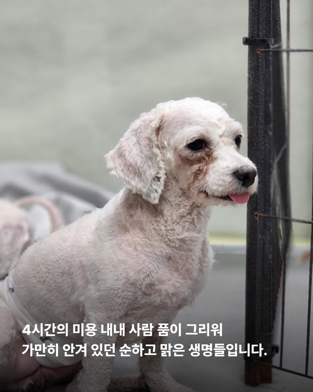 상세 사진 3