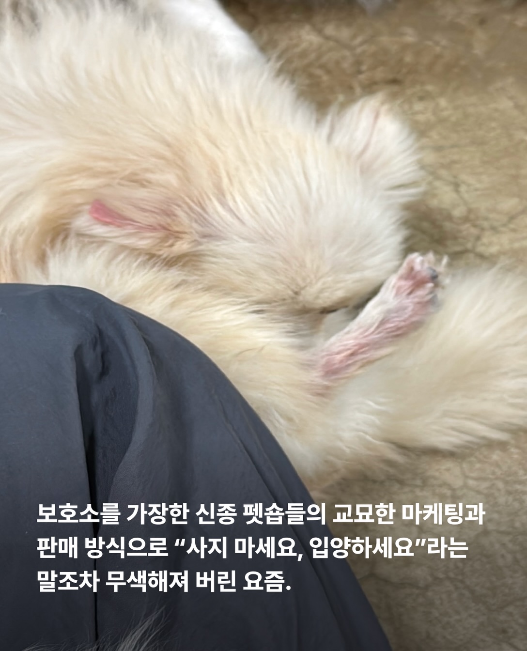 상세 사진 2