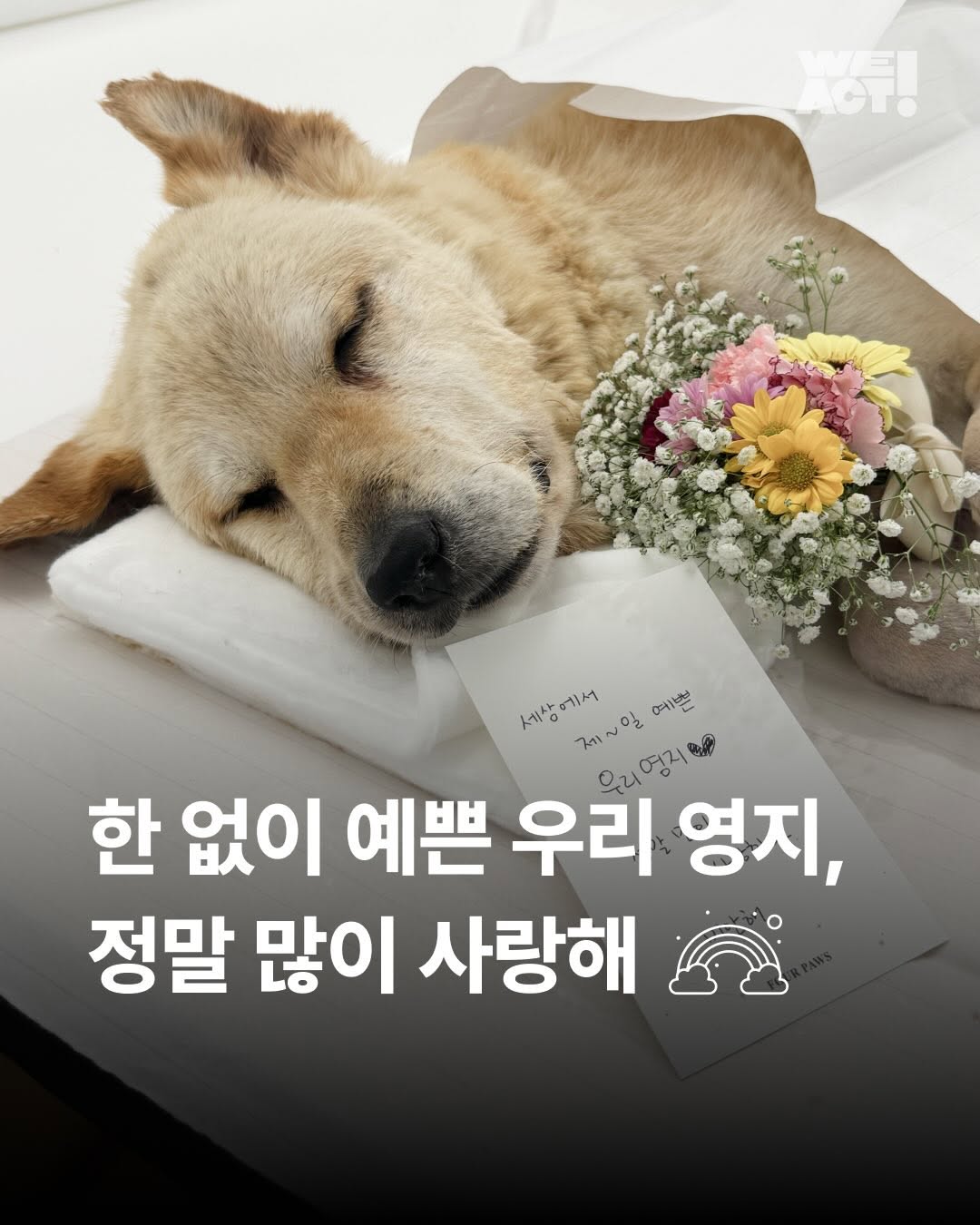 상세 사진 1