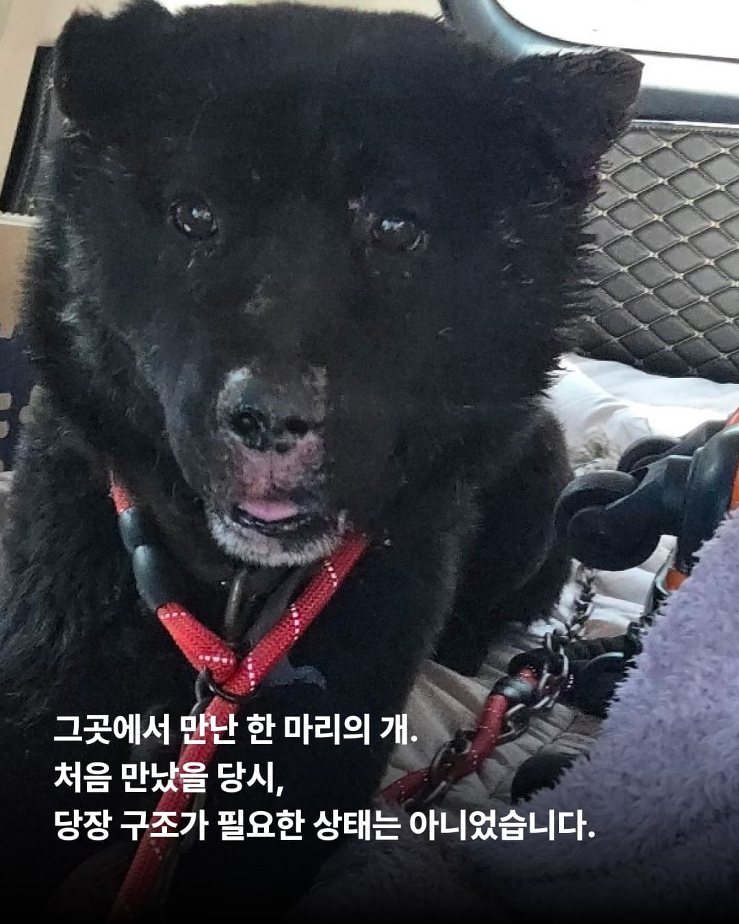상세 사진 3