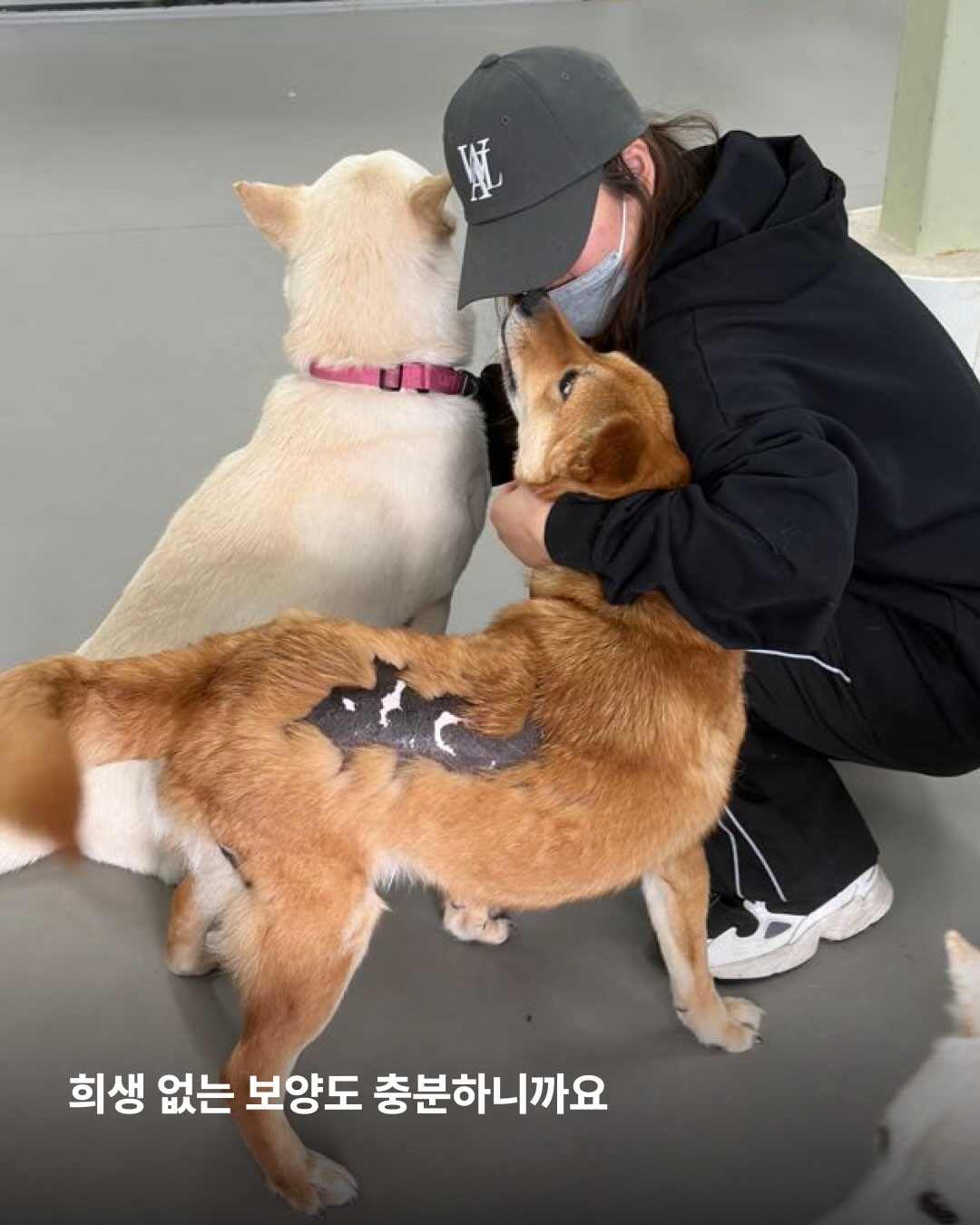 상세 사진 3