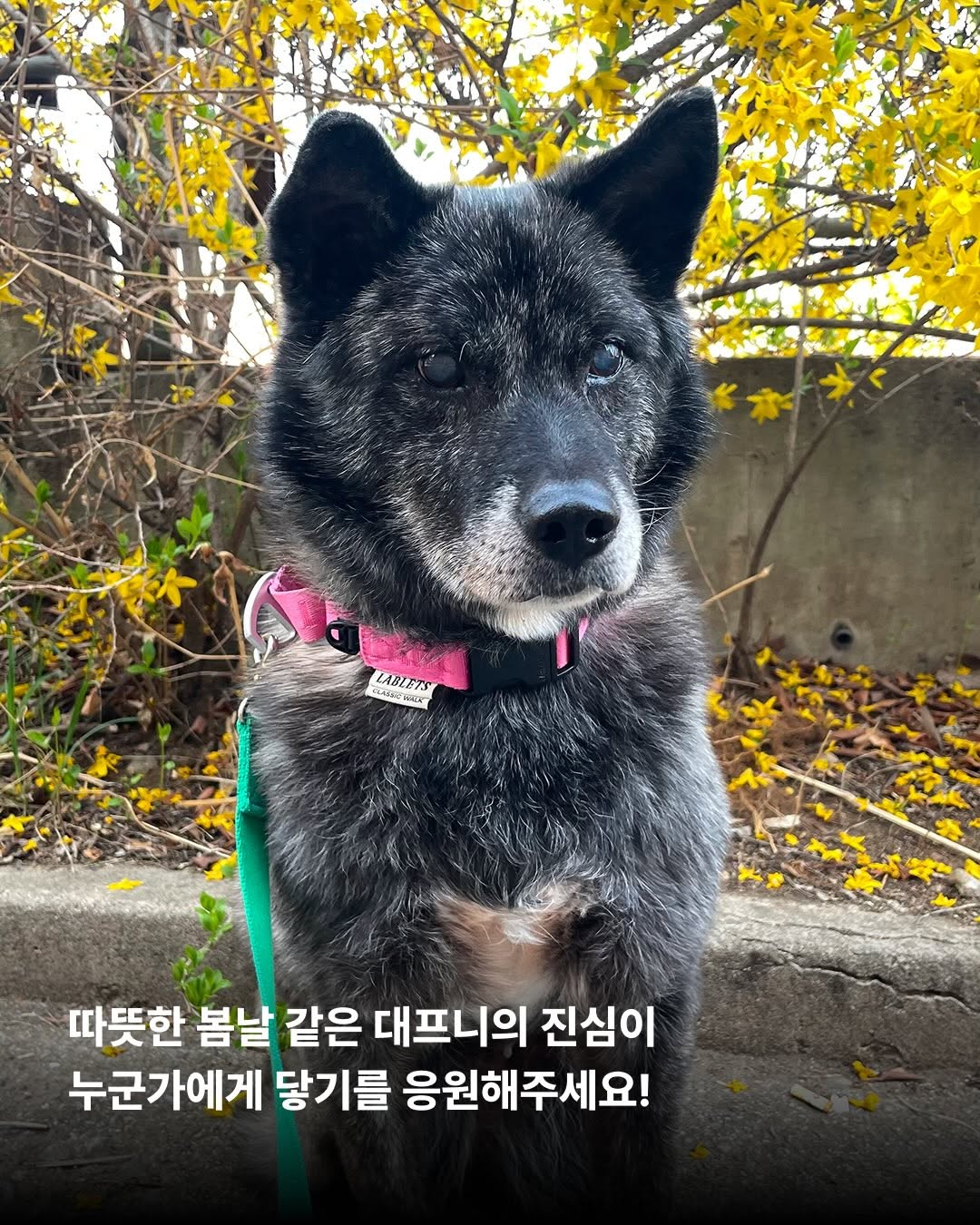상세 사진 9