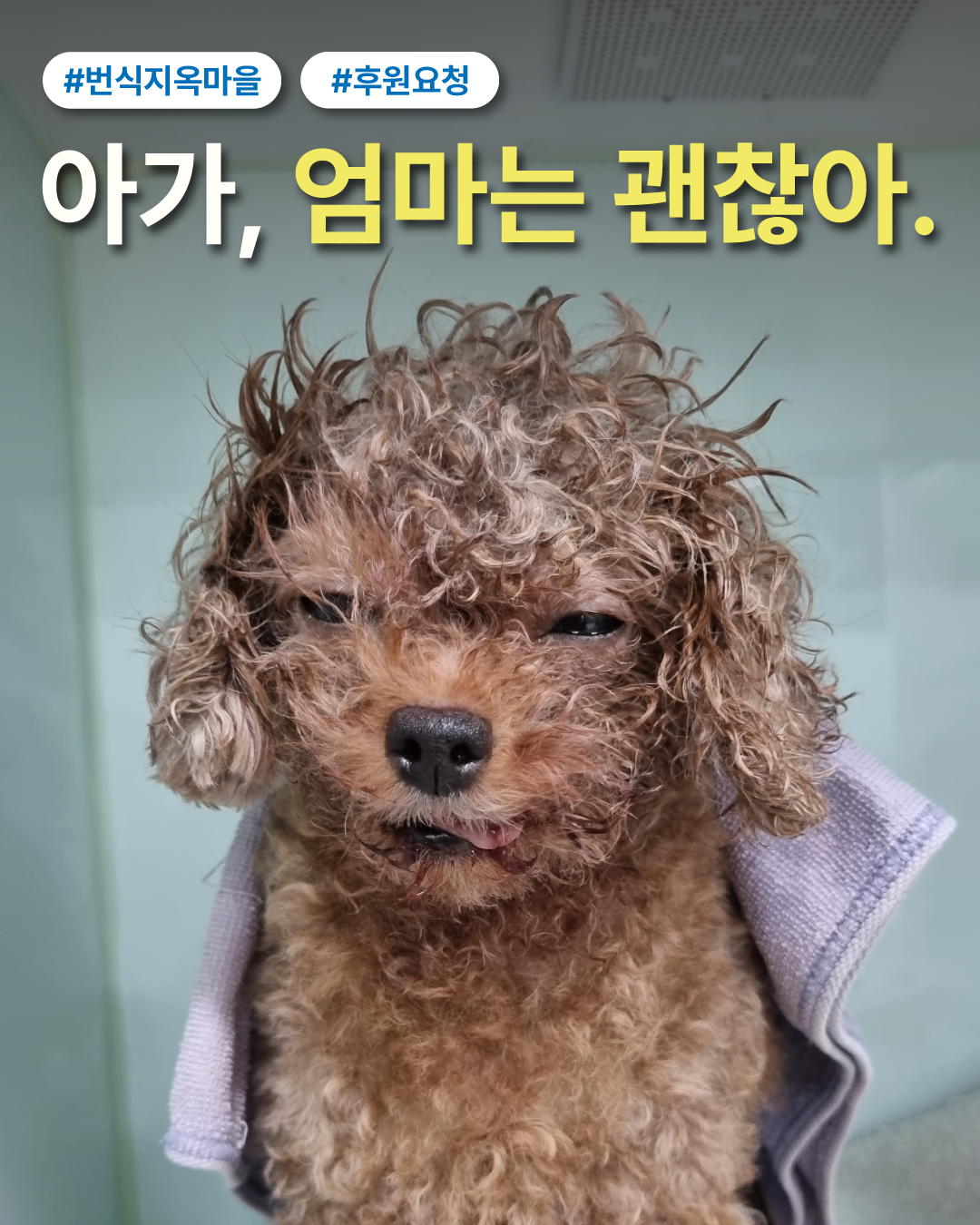 상세 사진 8