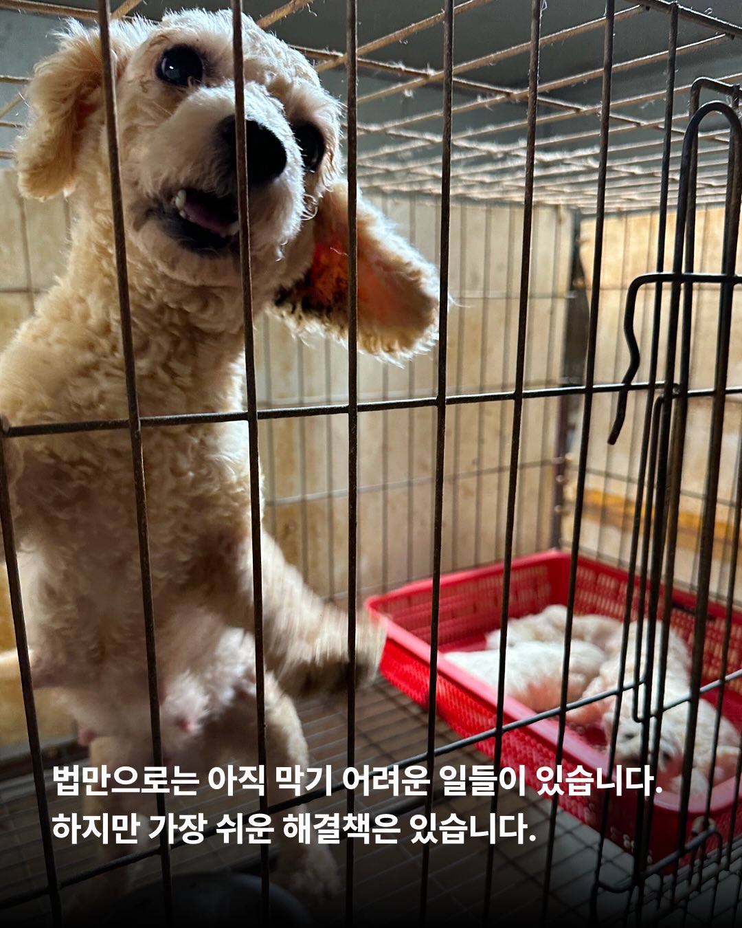 상세 사진 8