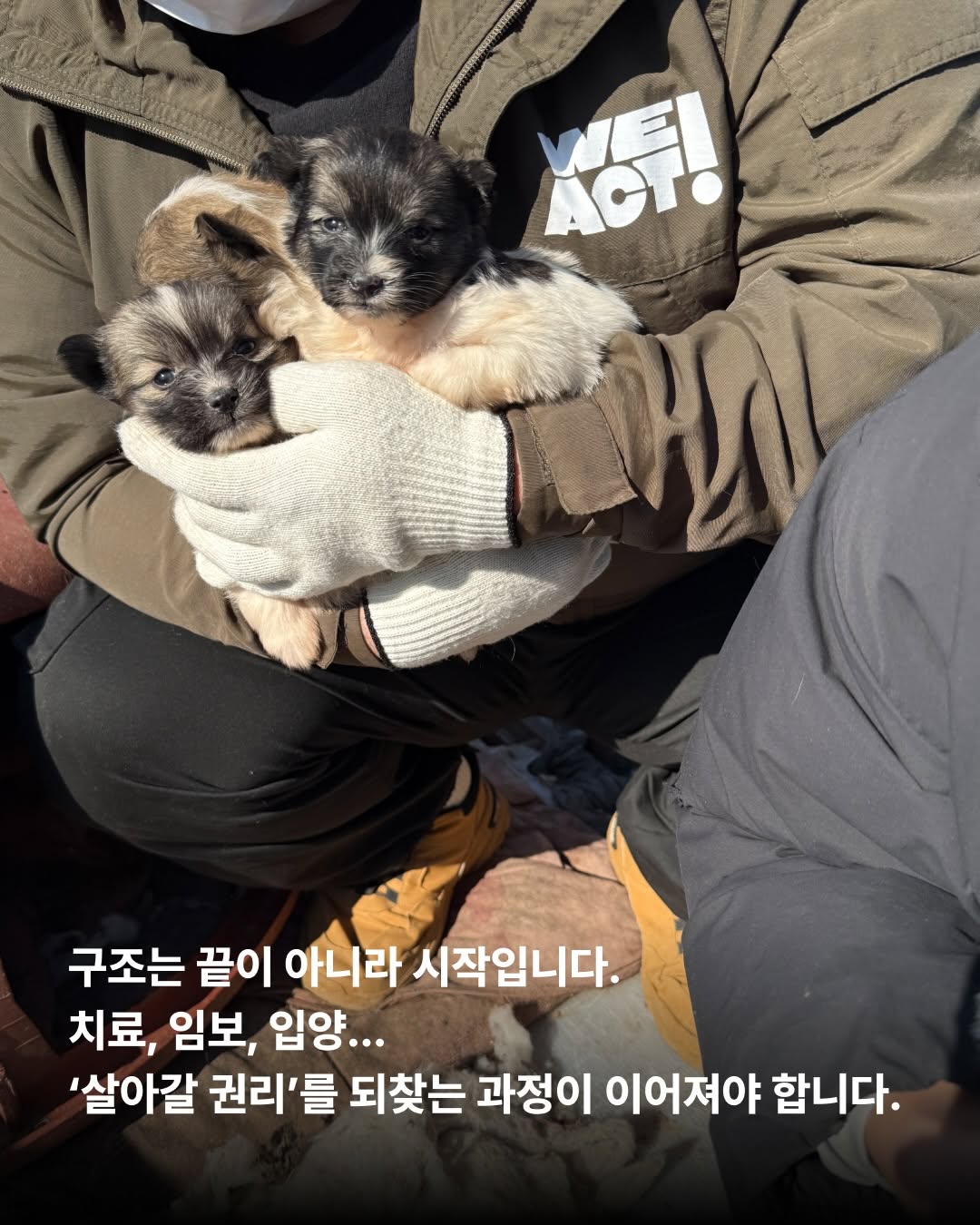 상세 사진 5