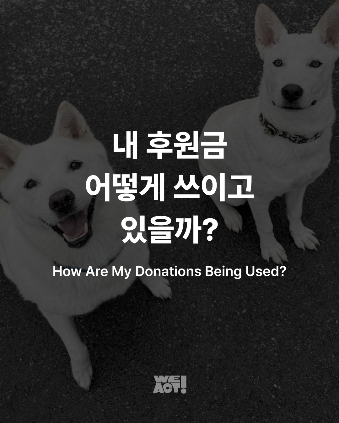 상세 사진 1