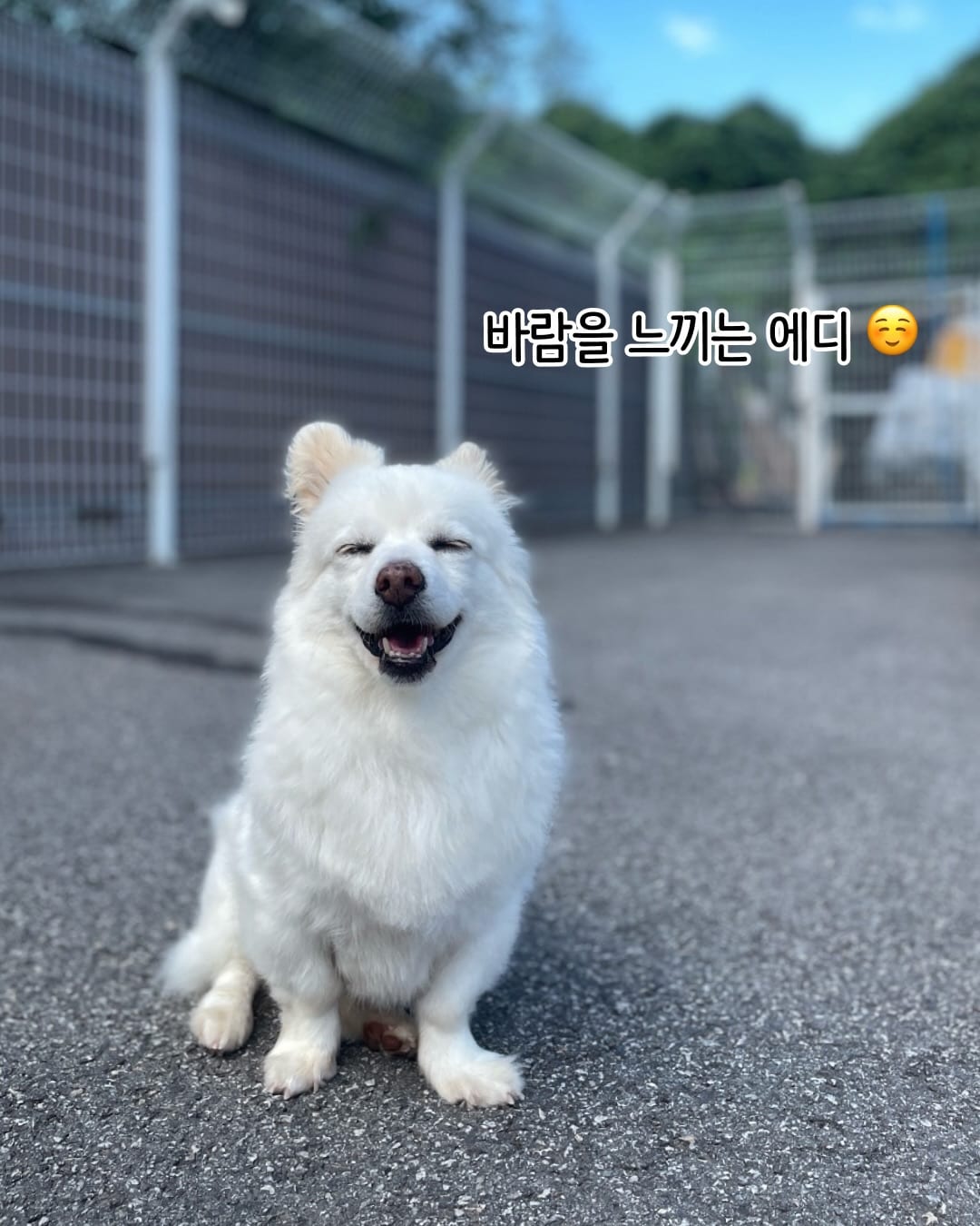 상세 사진 16